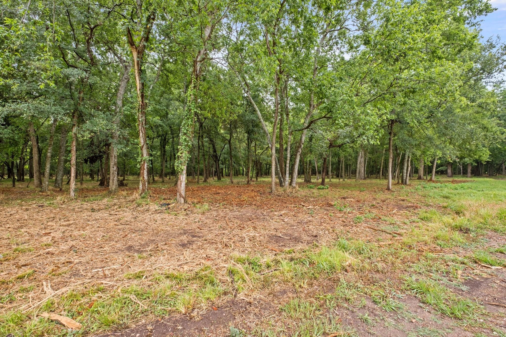 2120 Hagerson Road Sugar Land, TX 77479 - Photo 7 of 13 a backyard of a house with large trees