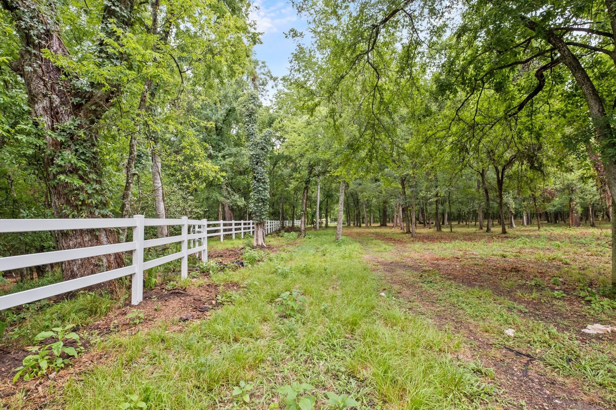2120 Hagerson Road Sugar Land, TX 77479 - Photo 8 of 13 a view of a yard with wooden fence