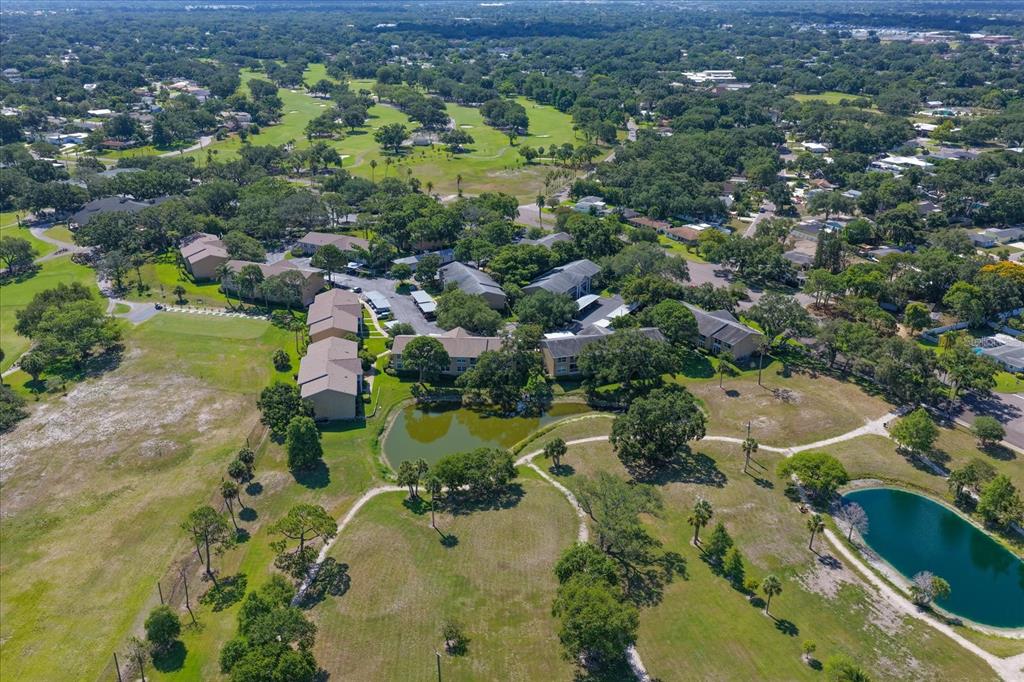 2152 Gulf View Boulevard, Unit 2152 Dunedin, FL 34698 - Photo 38 of 65