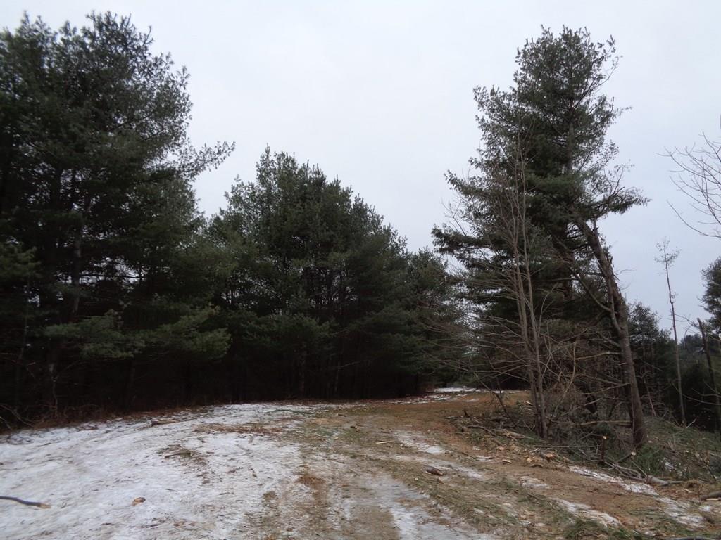 Map 5-lot Map 5-lot Mount Augusta, ME 04330 - Photo 18 of 18 Land/Lot