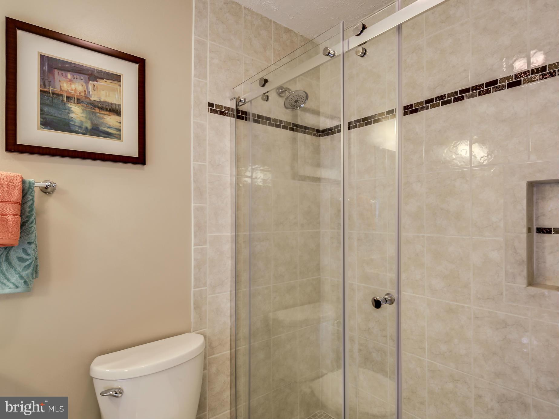 9415 Spring Water Path Jessup, MD 20794 - Photo 16 of 29 Bath (Master)