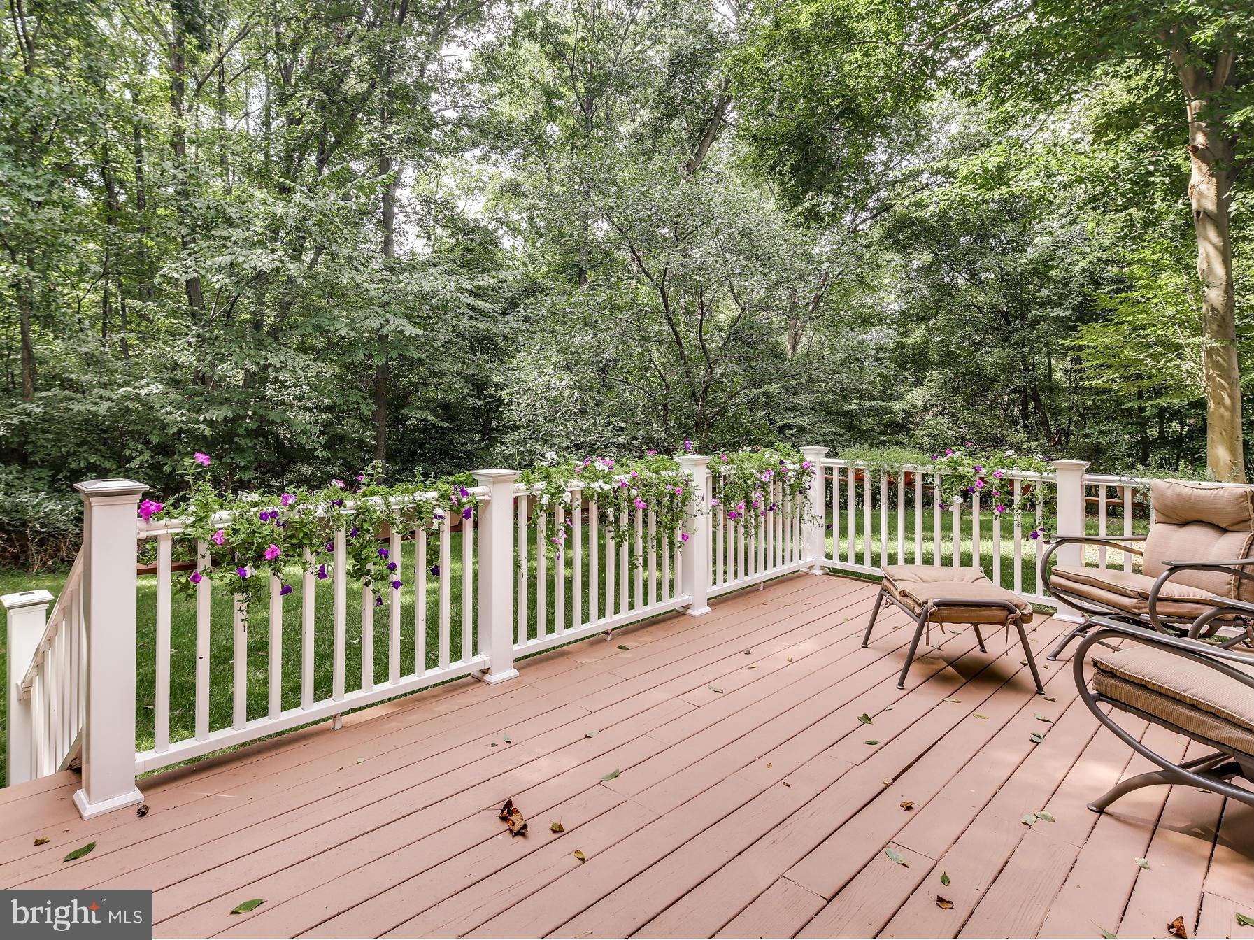 9415 Spring Water Path Jessup, MD 20794 - Photo 26 of 29 Exterior (Rear)