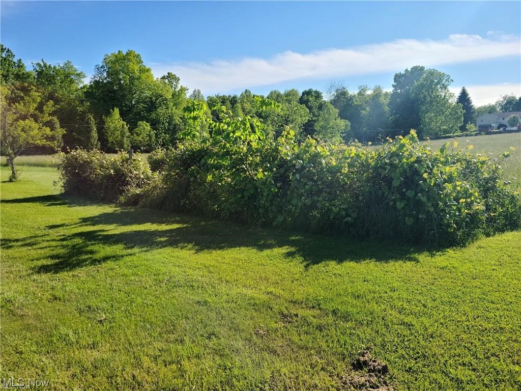6651 Streeter Road Mantua, OH 44255 - Photo 12 of 21 Gallery Image 12