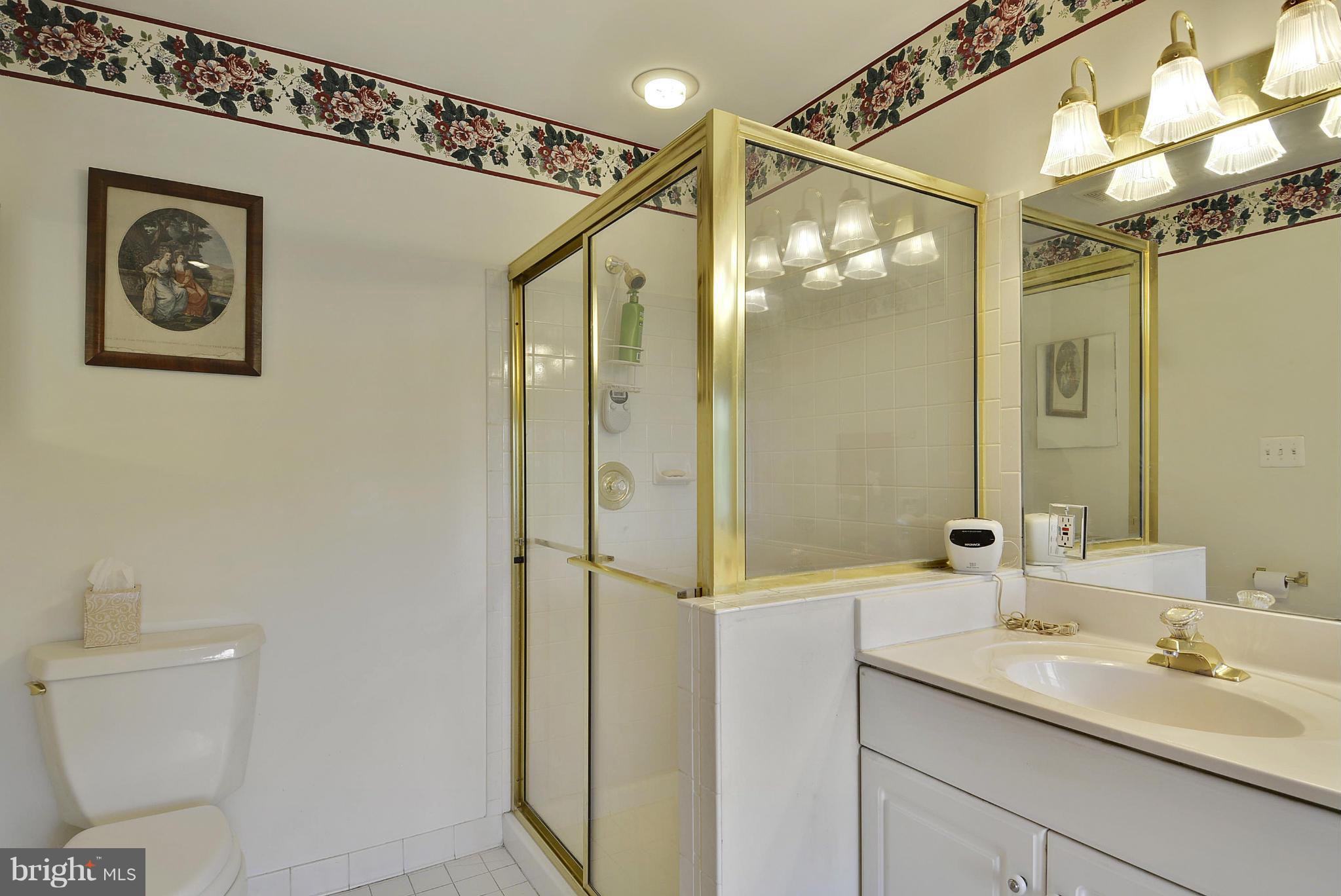 9202 Linden Grove Court Silver Spring, MD 20910 - Photo 22 of 30 Owners Bath Shower