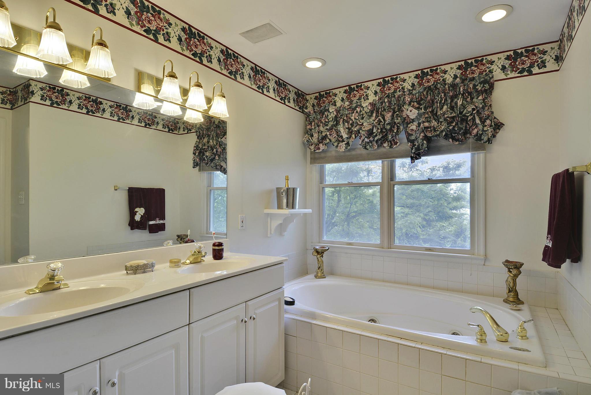 9202 Linden Grove Court Silver Spring, MD 20910 - Photo 24 of 30 Owners Bath Tub