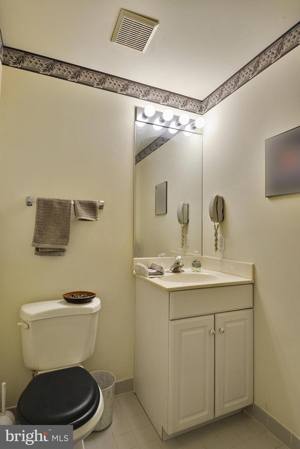 9202 Linden Grove Court Silver Spring, MD 20910 - Photo 28 of 30 Lower Level Powder Room