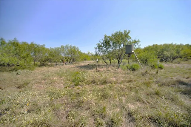 a view of a green field with lots of bushes