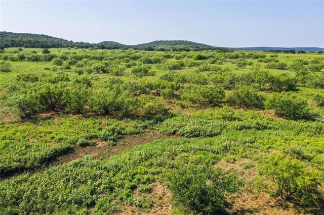 a view of a green field with an ocean view