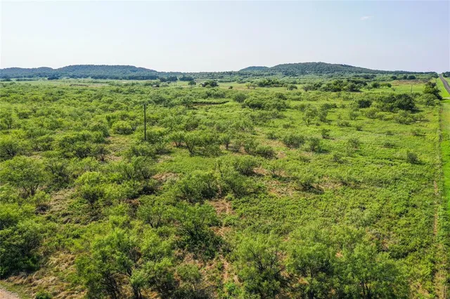 a view of a lush green forest with trees in the background