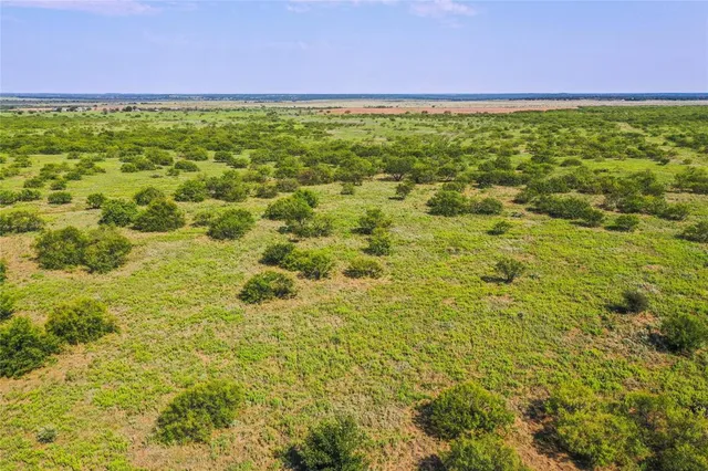 a view of a yard with an outdoor space
