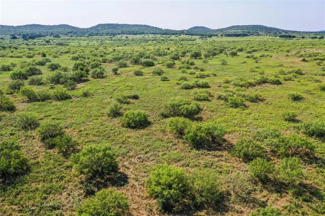 a view of a field of grass and trees