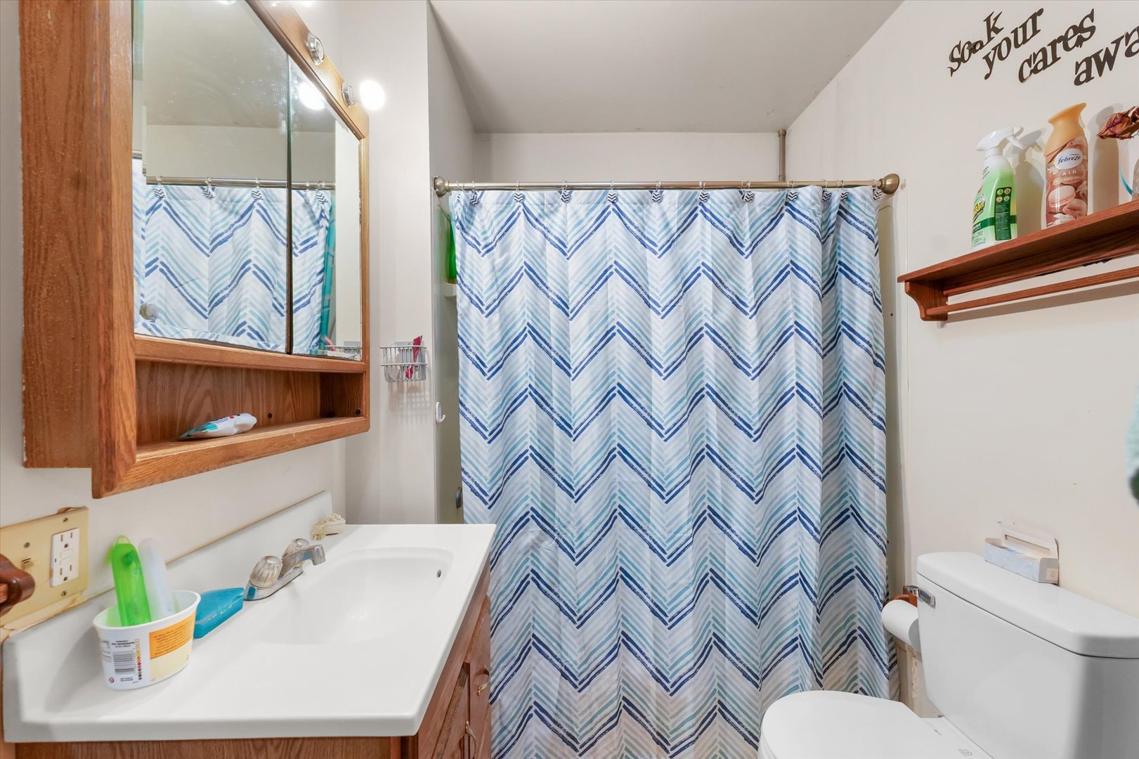 209 North Green Street Melvin, IL 60952 - Photo 16 of 24 a bathroom with a sink a toilet and a shower curtain