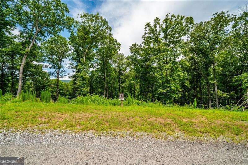 0 Ridge Drive, Unit LOT #27 Morganton, GA 30560 - Photo 2 of 13 a view of a grassy field with trees in the background