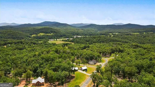 a view of a lush green field with mountains in the background