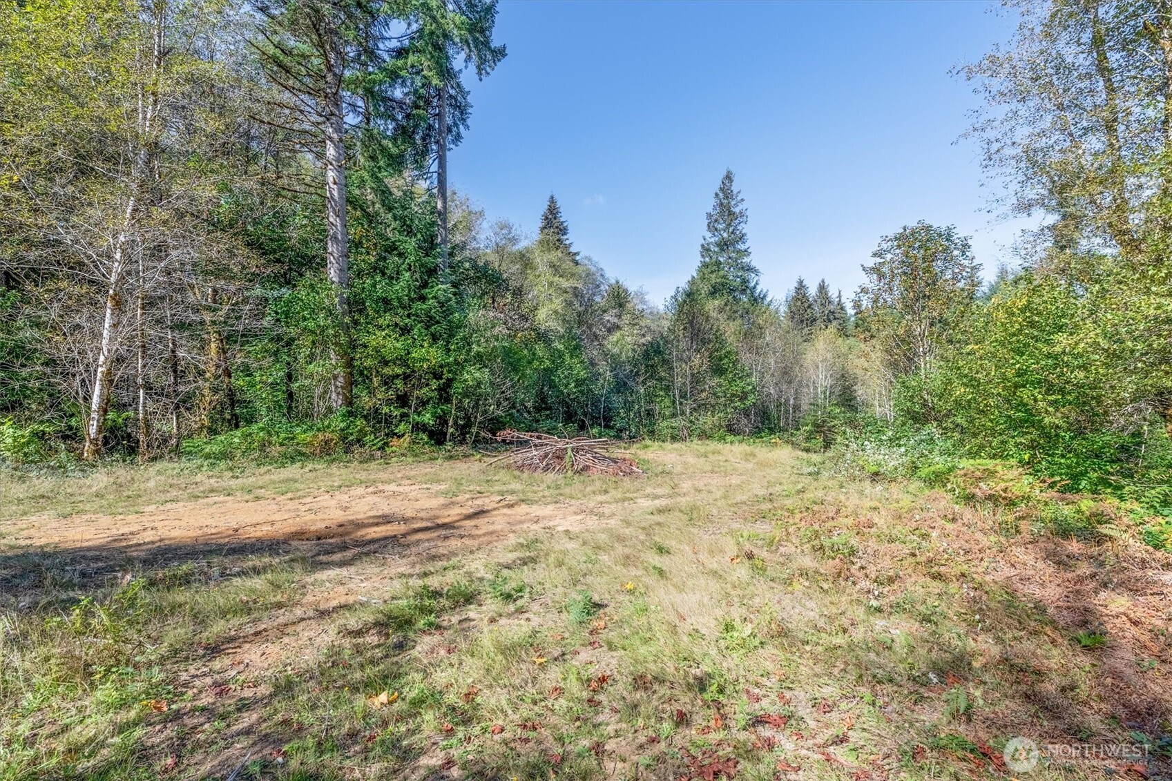 415 Spruce Creek Road Longview, WA 98632 - Photo 39 of 40 Gallery Image 39