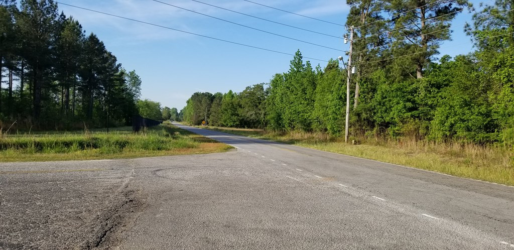 0 Kings North Highway Rembert, SC 29128 - Photo 3 of 6