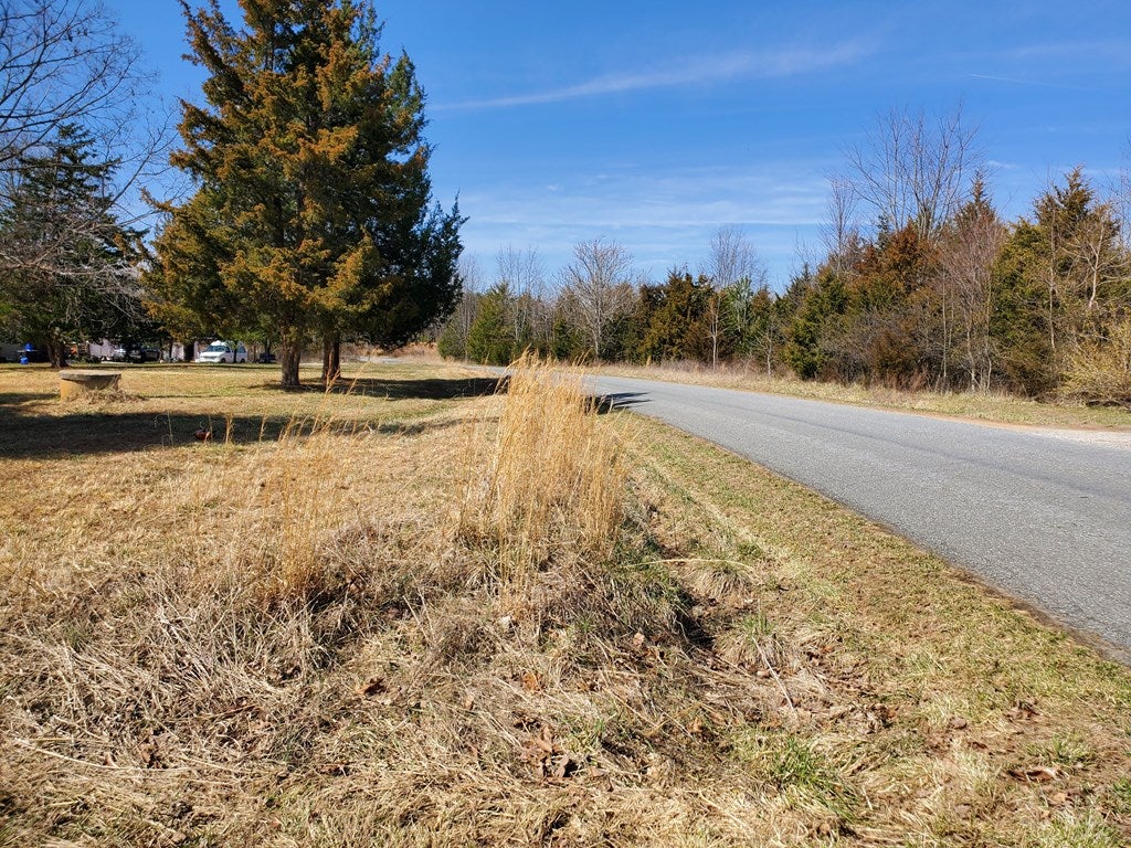 917 Elam Road Pamplin, VA 23958 - Photo 2 of 2 Gallery Image 2