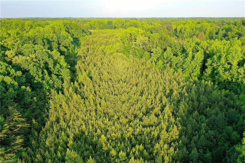 52.79-acres Atkins Road Mebane, NC 27302 - Photo 29 of 36 Gallery Image 29