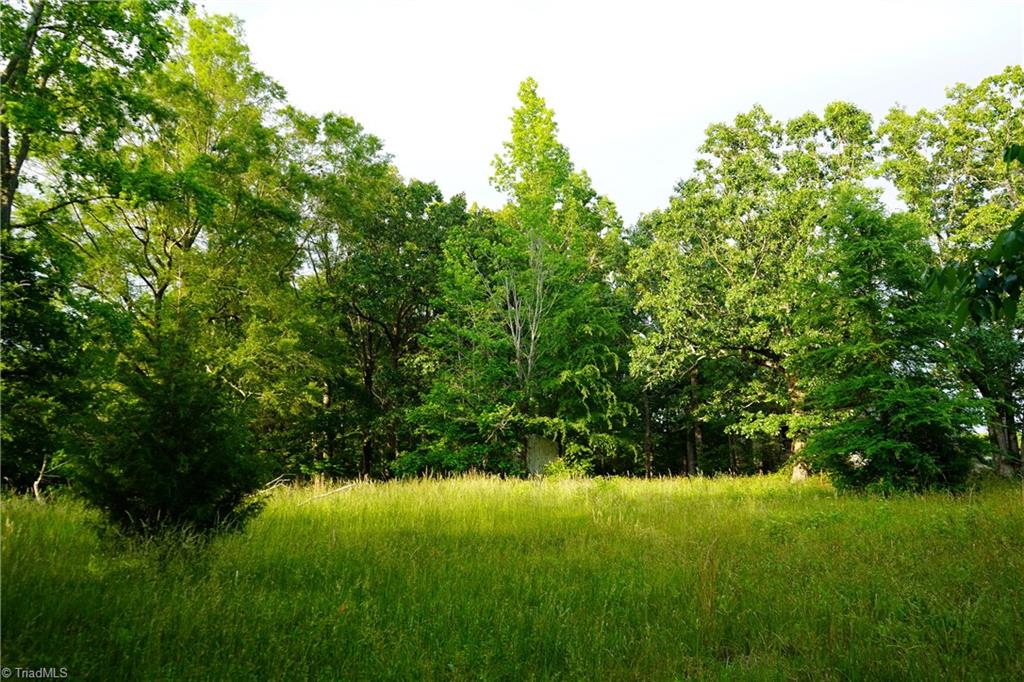 52.79-acres Atkins Road Mebane, NC 27302 - Photo 8 of 36 Gallery Image 8