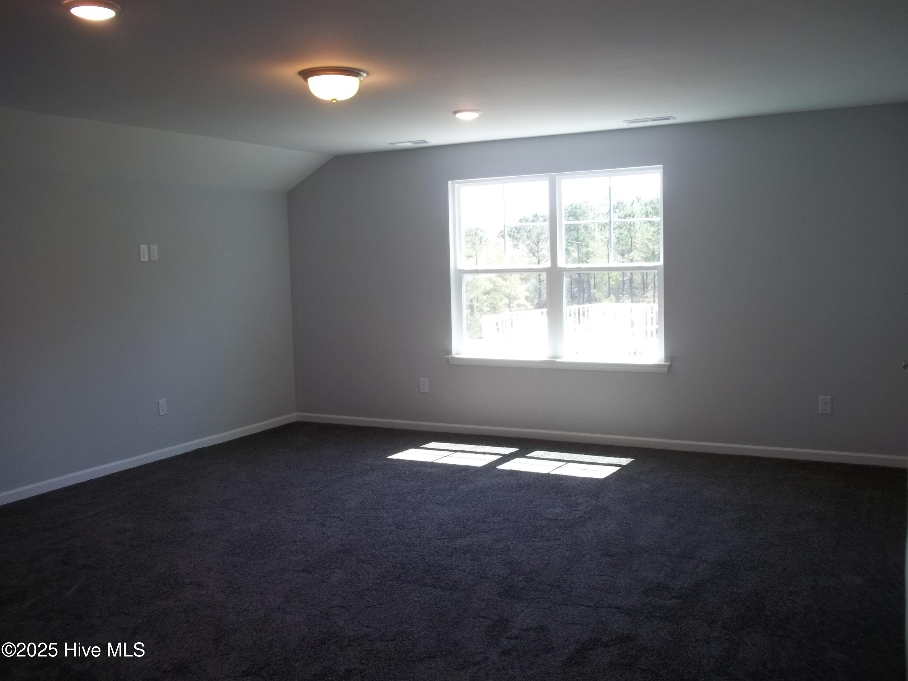 207 Balustrade Way Hampstead, NC 28443 - Photo 17 of 37 100_6278
