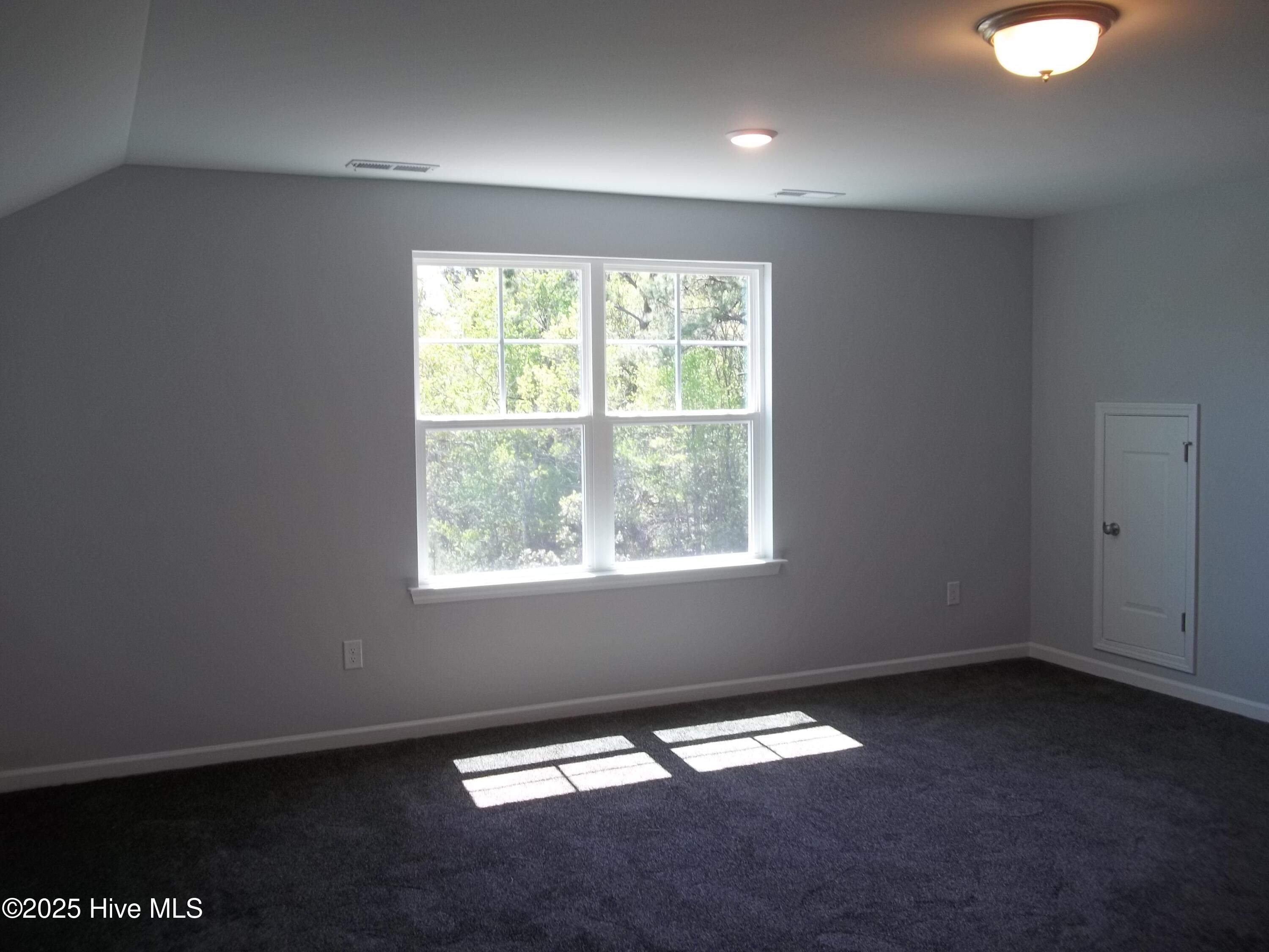 207 Balustrade Way Hampstead, NC 28443 - Photo 19 of 37 100_6280
