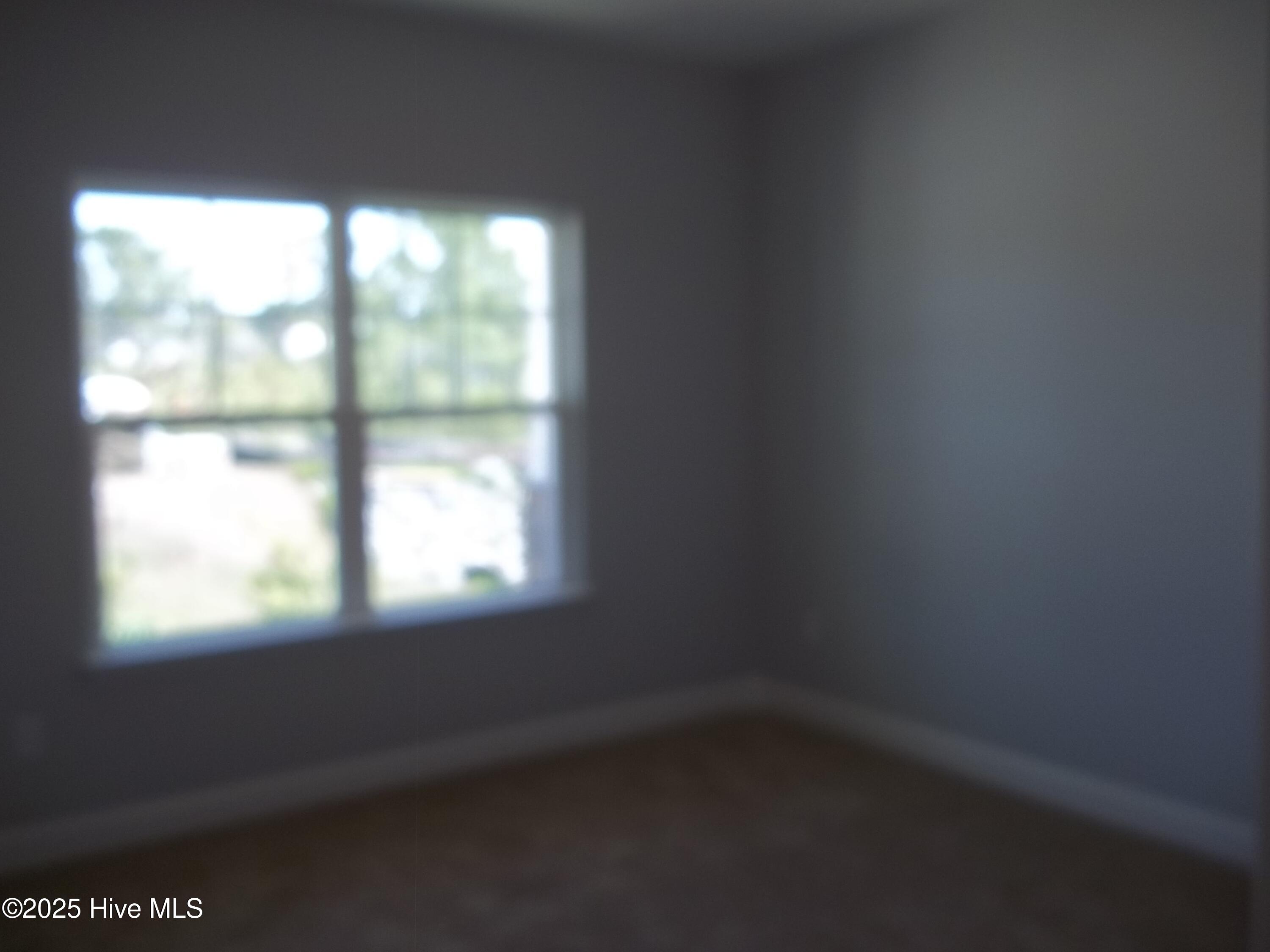 207 Balustrade Way Hampstead, NC 28443 - Photo 22 of 37 100_6283