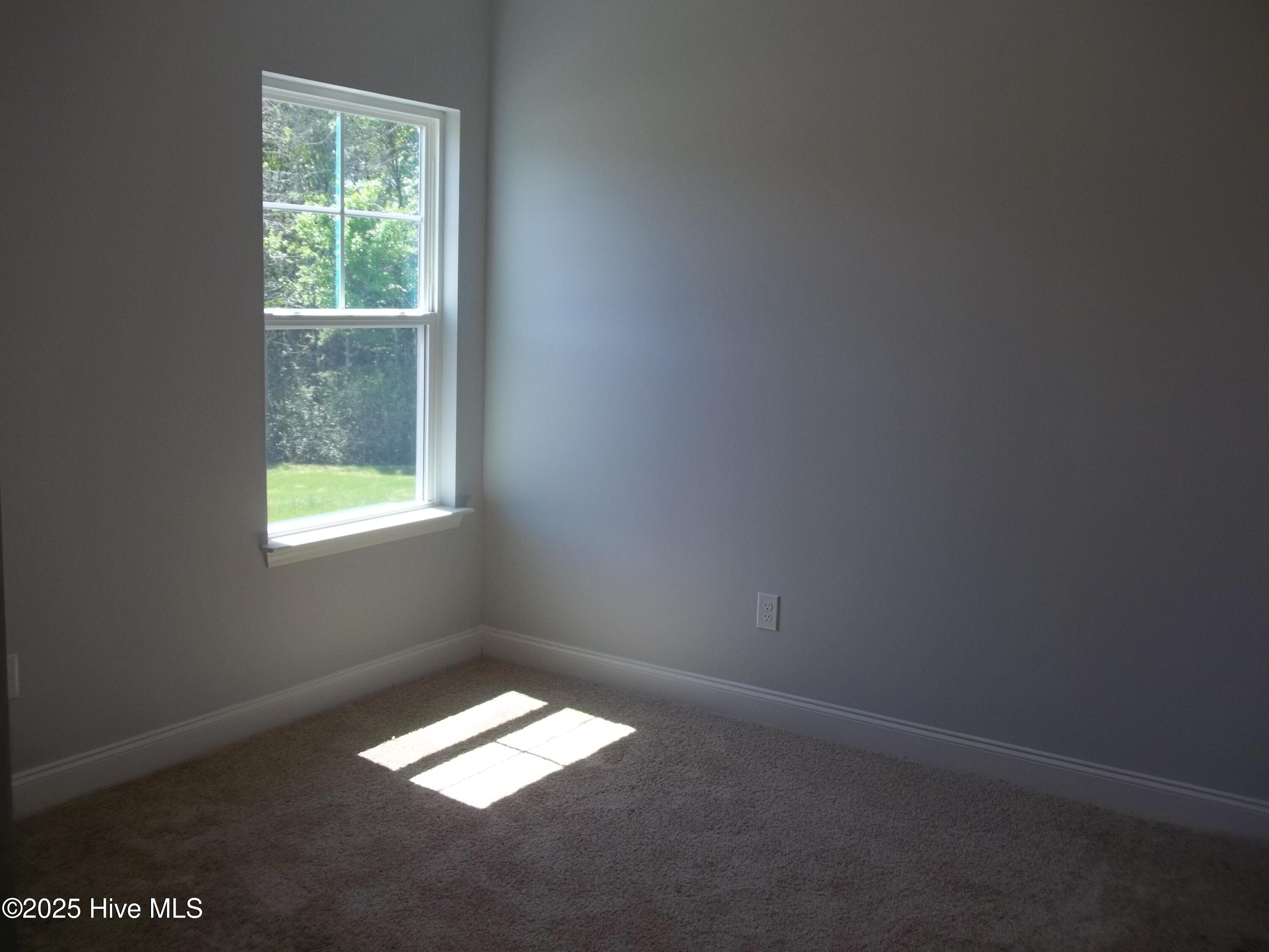 207 Balustrade Way Hampstead, NC 28443 - Photo 23 of 37 100_6284
