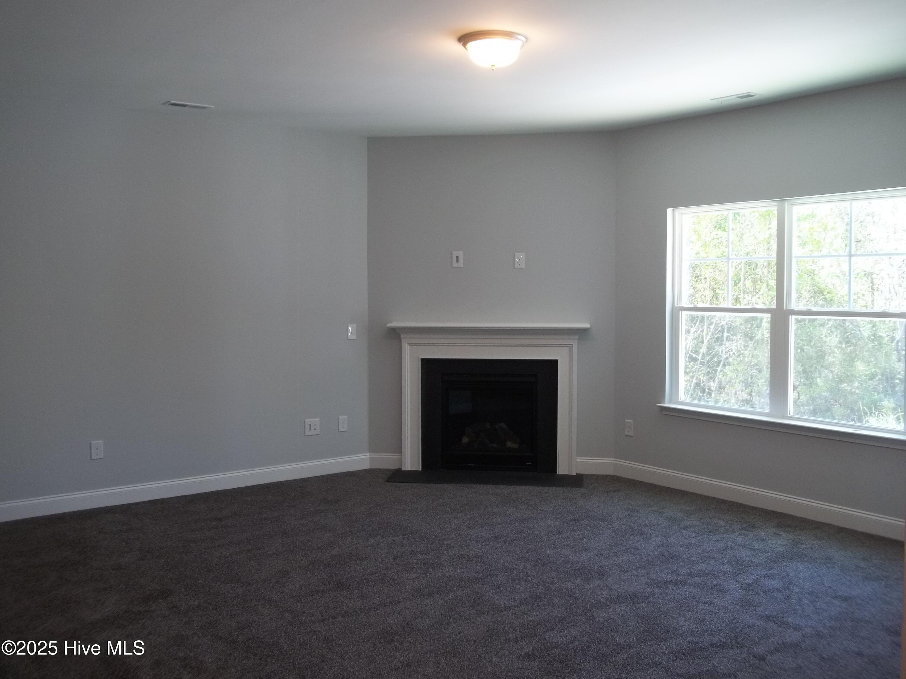 207 Balustrade Way Hampstead, NC 28443 - Photo 4 of 37 100_6263
