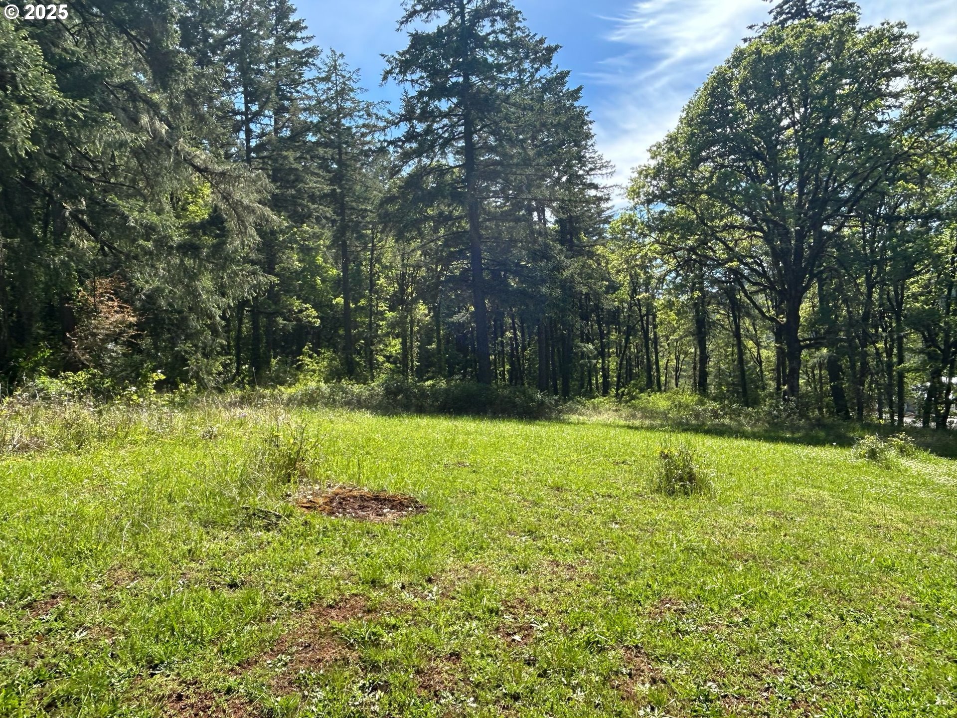 37635 Northwest Soap Creek Road Corvallis, OR 97330 - Photo 11 of 19 Gallery Image 11