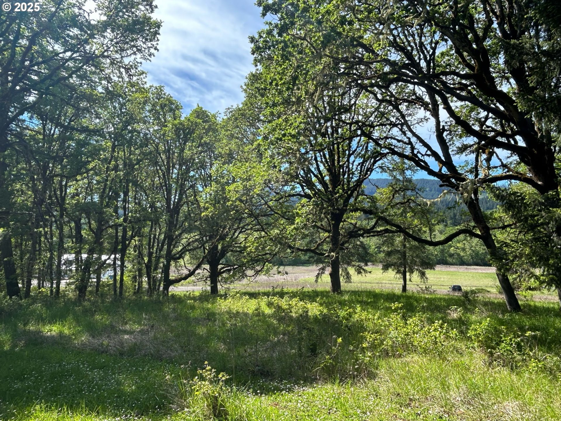 37635 Northwest Soap Creek Road Corvallis, OR 97330 - Photo 12 of 19 Gallery Image 12