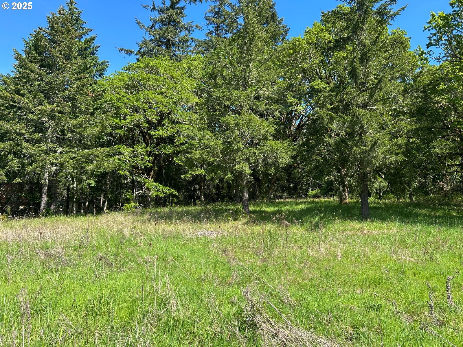 37635 Northwest Soap Creek Road Corvallis, OR 97330 - Photo 3 of 19 Gallery Image 3