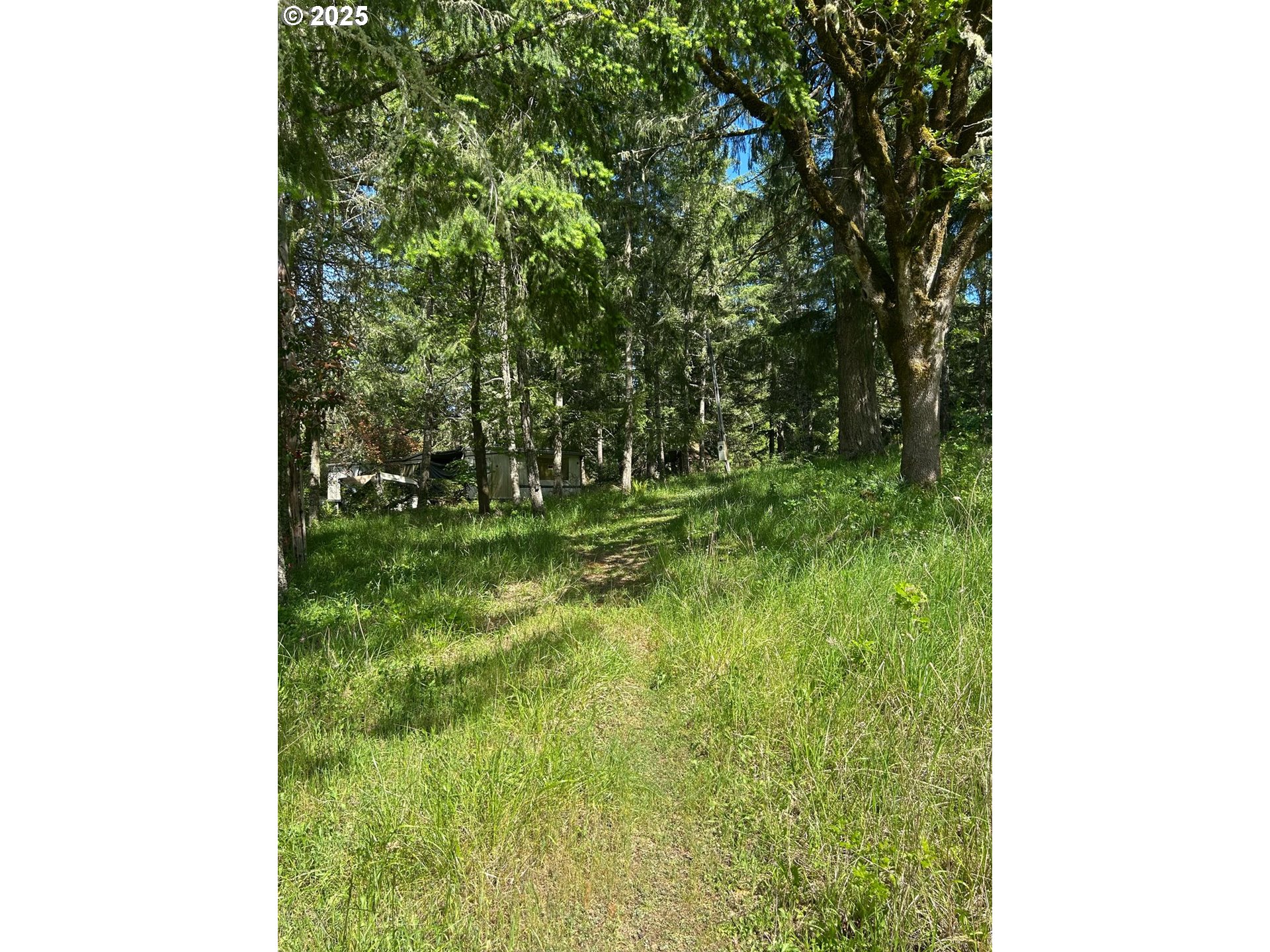 37635 Northwest Soap Creek Road Corvallis, OR 97330 - Photo 4 of 19 Gallery Image 4