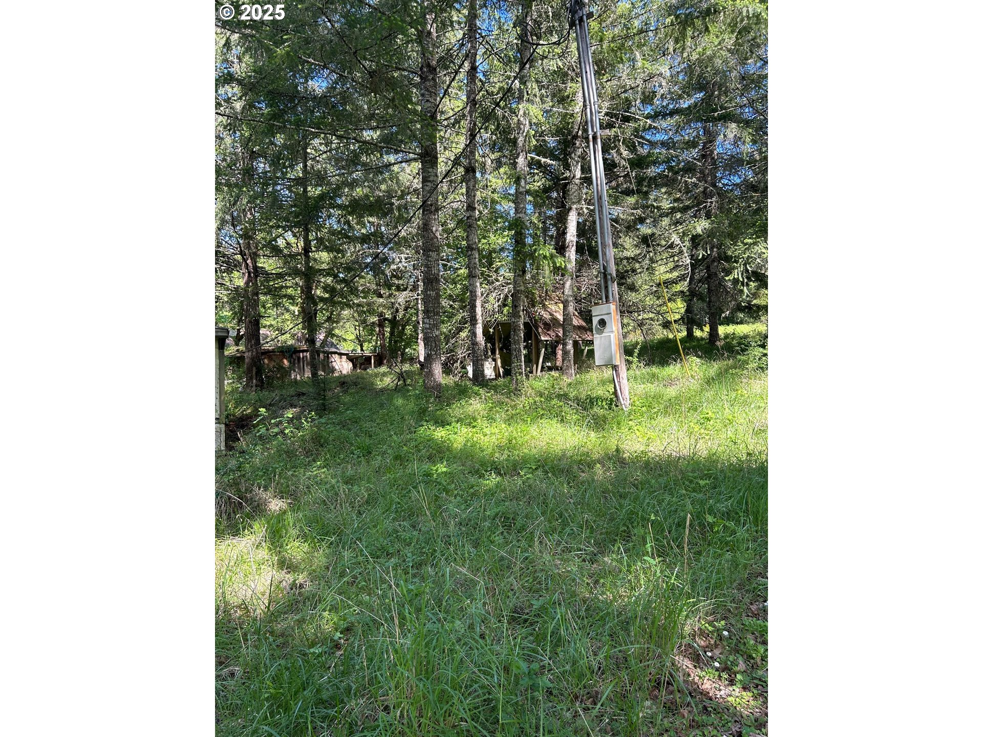 37635 Northwest Soap Creek Road Corvallis, OR 97330 - Photo 6 of 19 Gallery Image 6