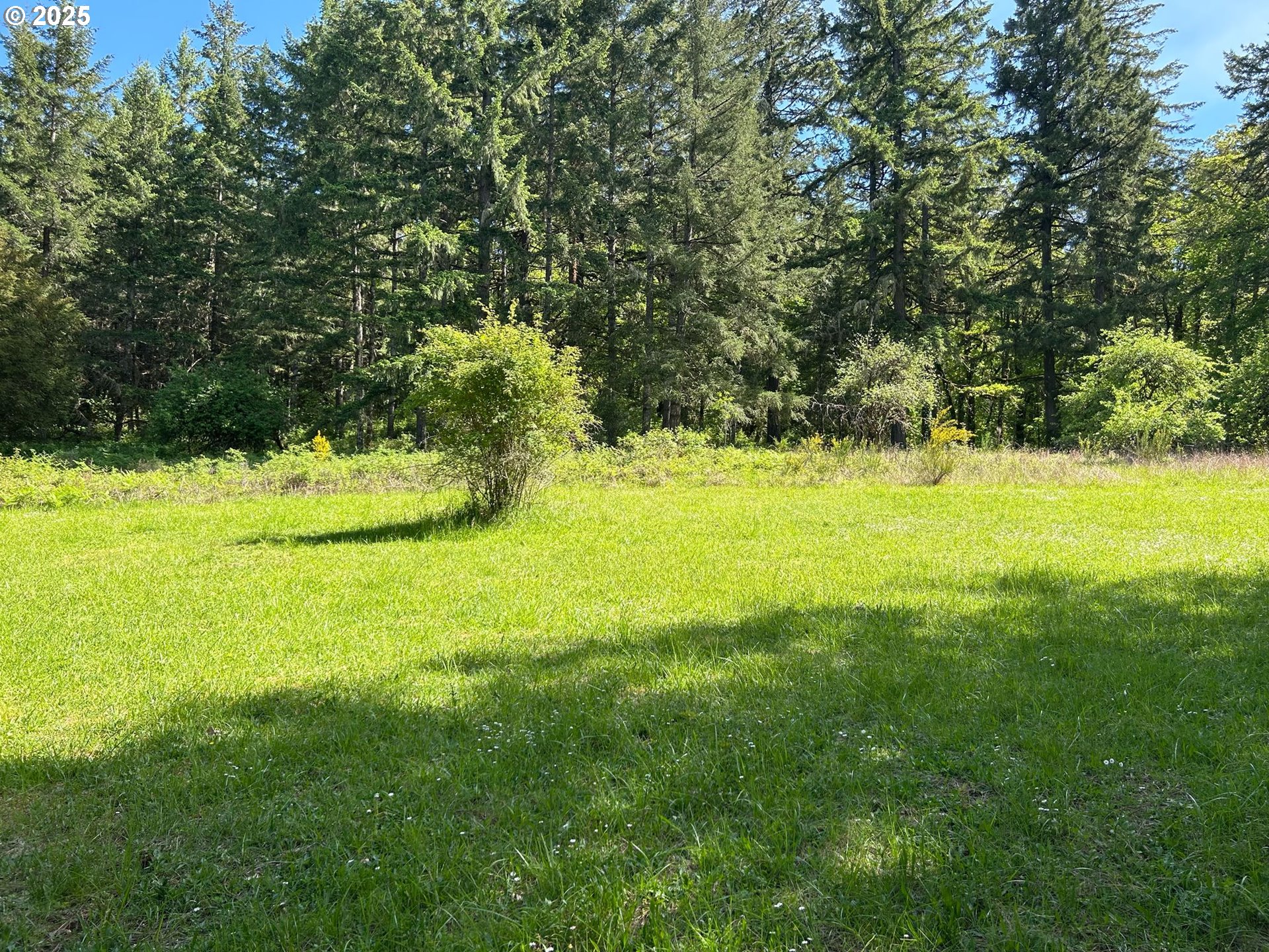 37635 Northwest Soap Creek Road Corvallis, OR 97330 - Photo 8 of 19 Gallery Image 8