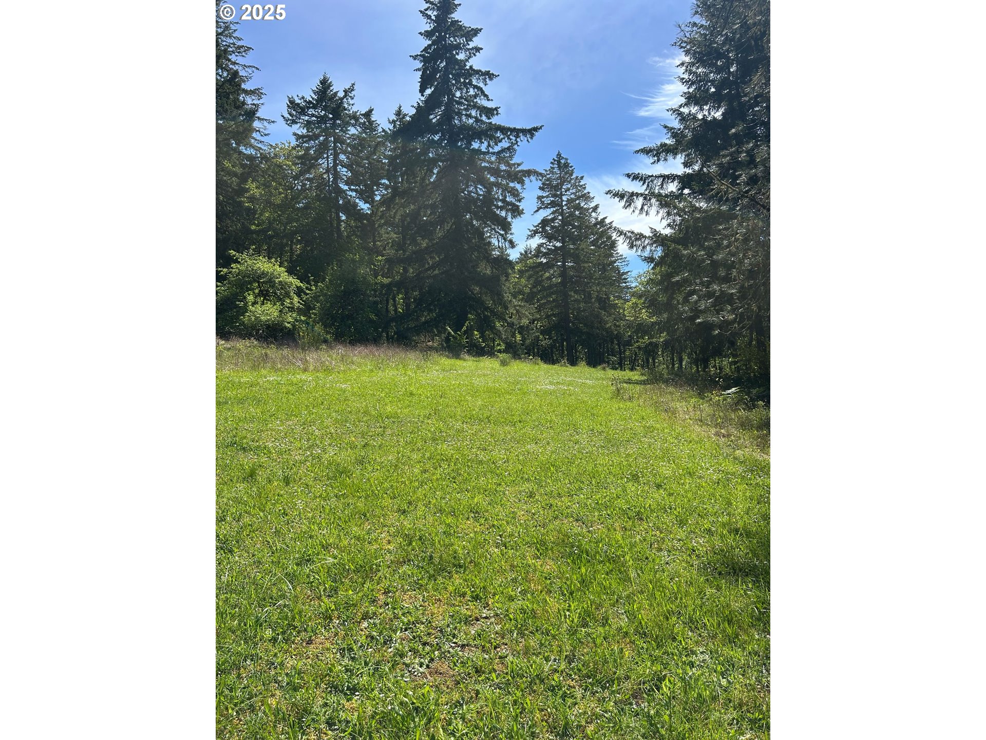 37635 Northwest Soap Creek Road Corvallis, OR 97330 - Photo 9 of 19 Gallery Image 9