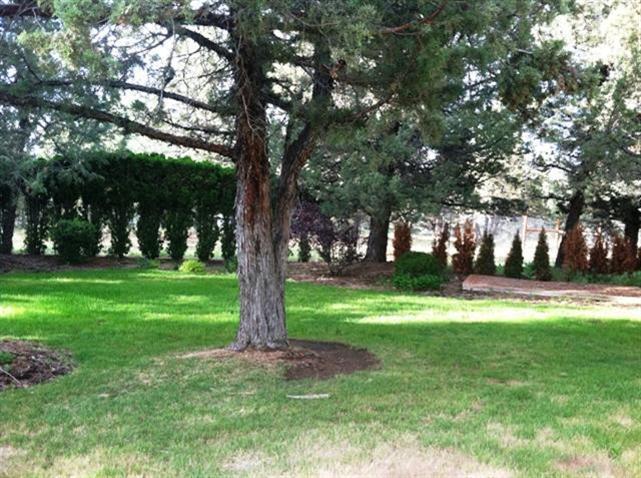 Room to garden, play horse shoes, or sim