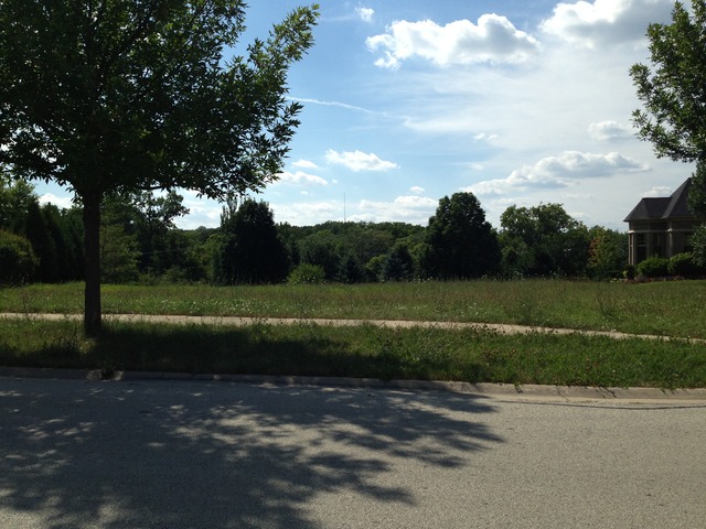 8674 Johnston Road Burr Ridge, IL 60527 - Photo 2 of 2 a view of a park