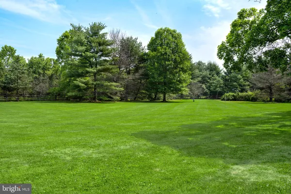 a view of a grassy field with trees