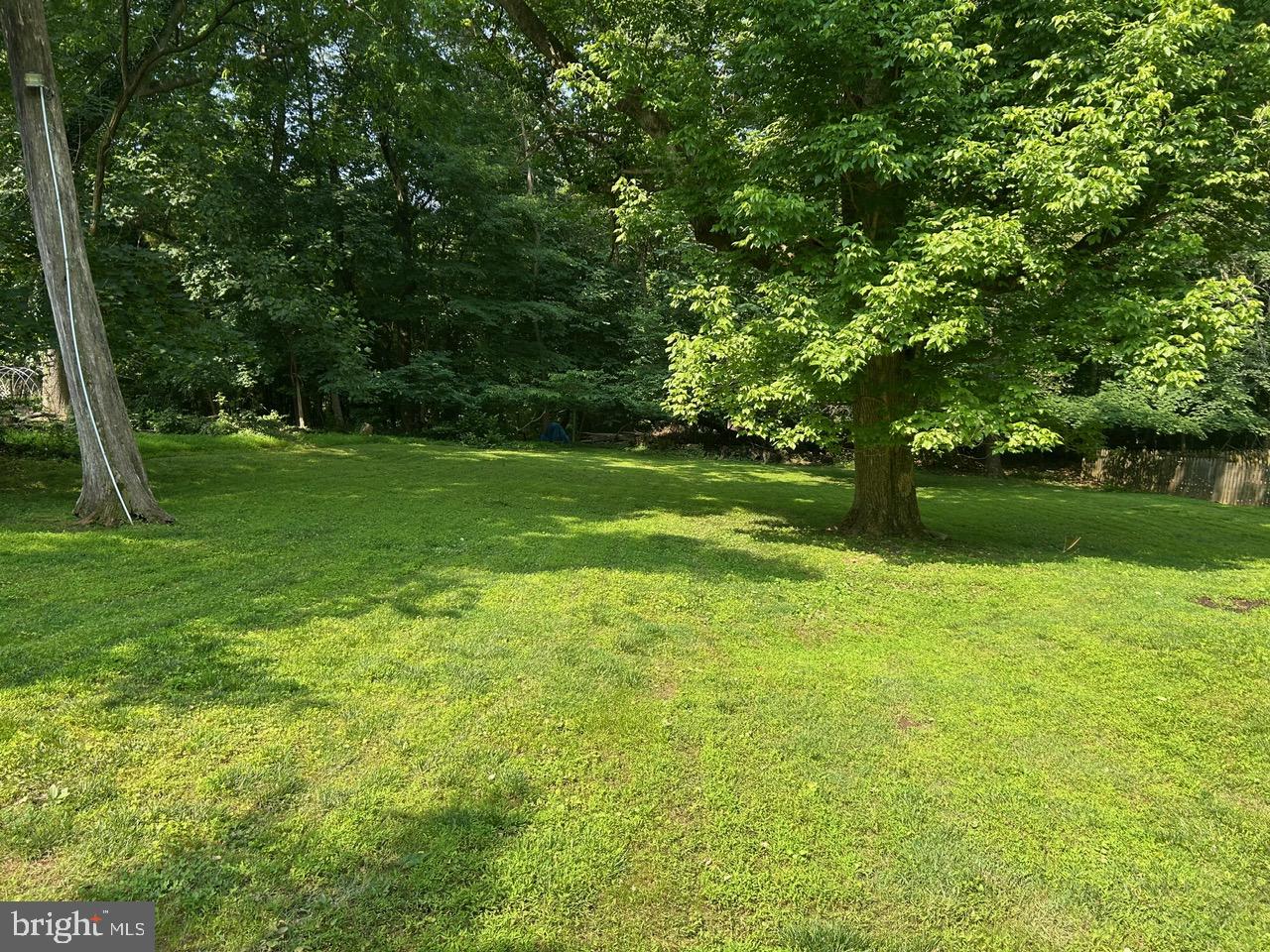 1008 Lincoln Avenue Springfield, PA 19064 - Photo 14 of 53 a view of a grassy field with trees