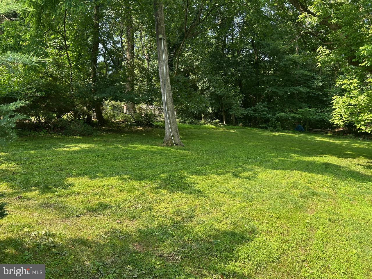1008 Lincoln Avenue Springfield, PA 19064 - Photo 16 of 53 a view of a trees with a yard