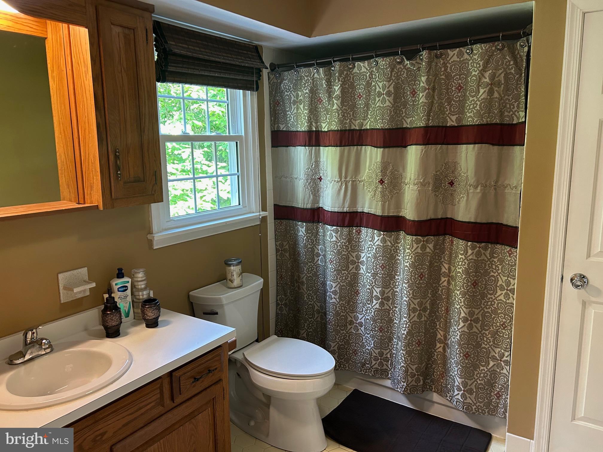 1008 Lincoln Avenue Springfield, PA 19064 - Photo 39 of 53 a bathroom with a sink and a toilet