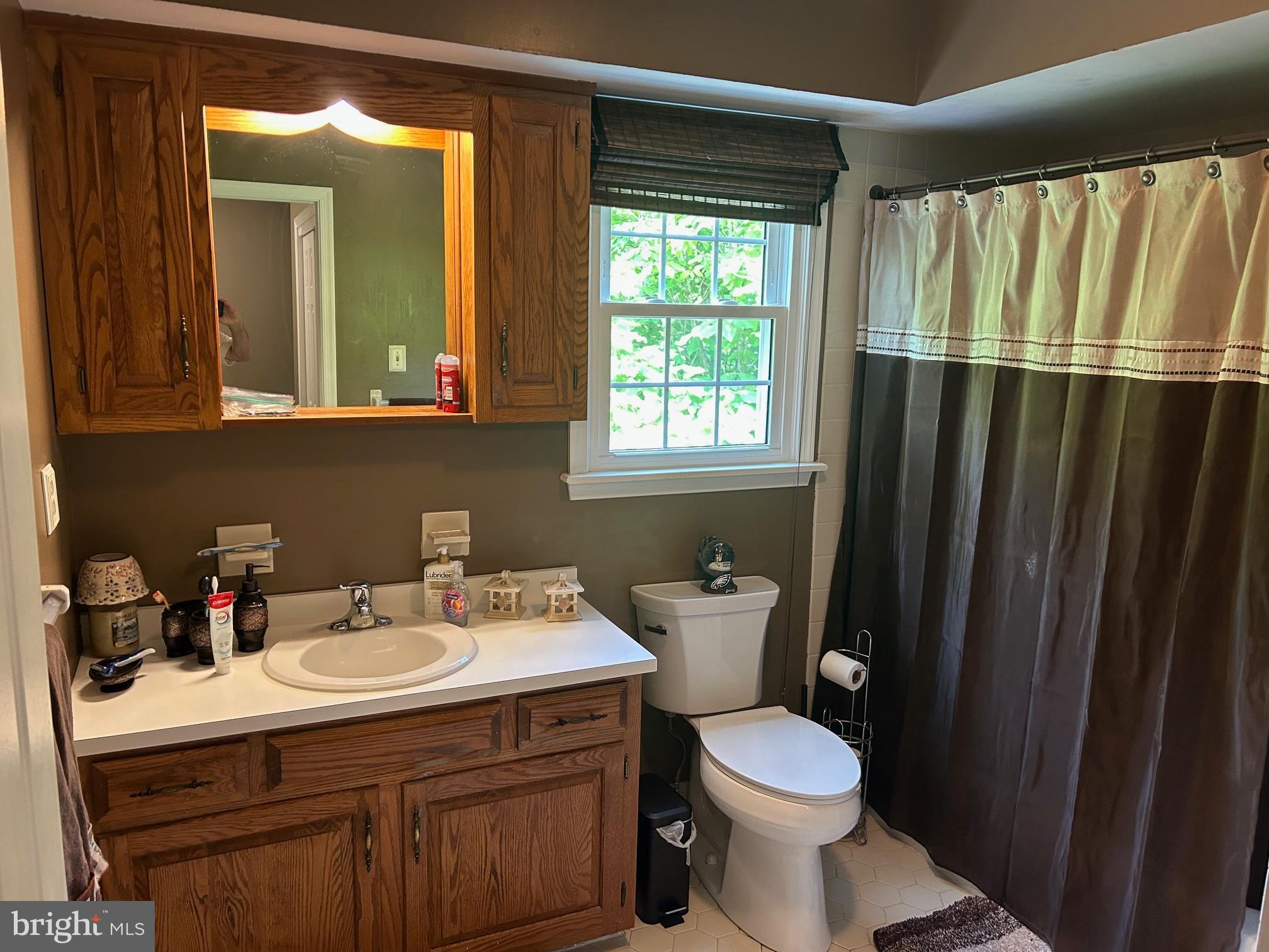 1008 Lincoln Avenue Springfield, PA 19064 - Photo 47 of 53 a bathroom with a sink vanity mirror and toilet