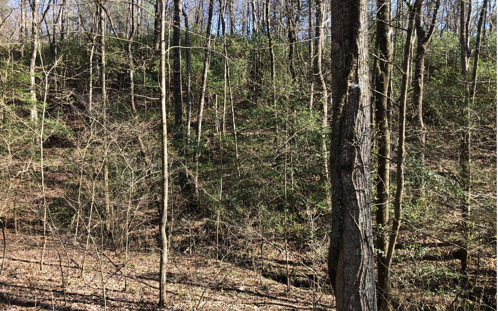 7.9-ac Scott Hollow Road Ellijay, GA 30540 - Photo 17 of 24 Additional View