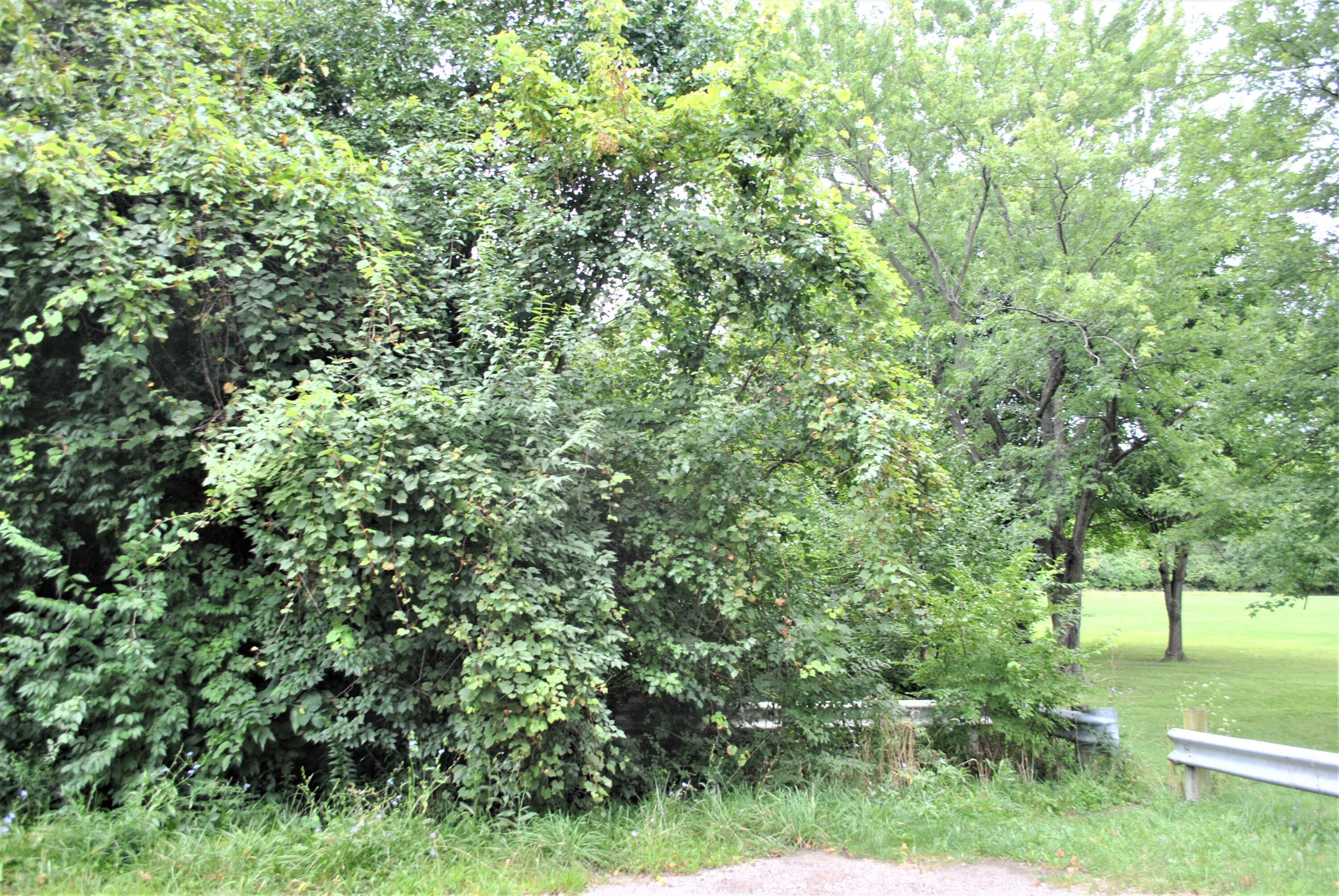 3786 Dover Road Columbus, OH 43204 - Photo 2 of 9 DSC_9734