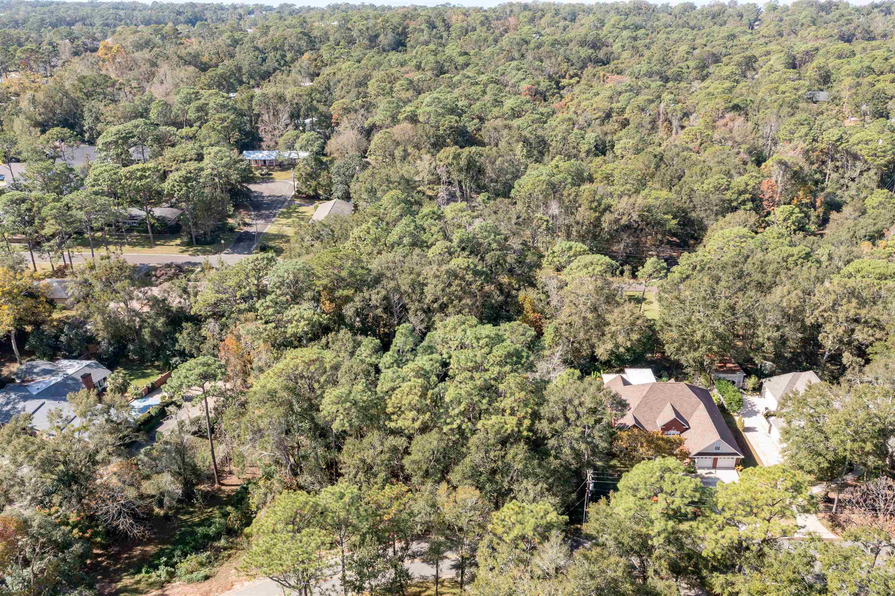 0 Myrtle Street Fairhope, AL 36532 - Photo 6 of 13