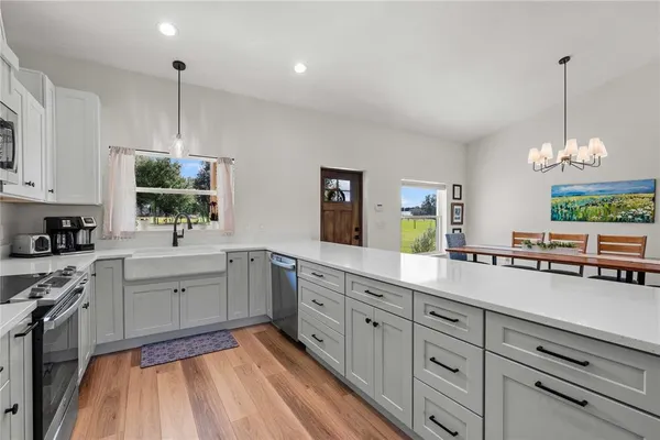a view of a backyard with a garden and plants