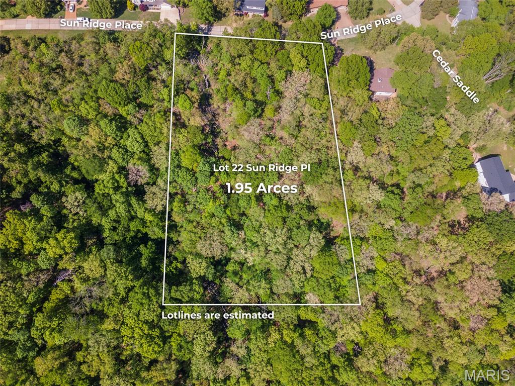 22 Sun Ridge Imperial, MO 63052 - Photo 8 of 15