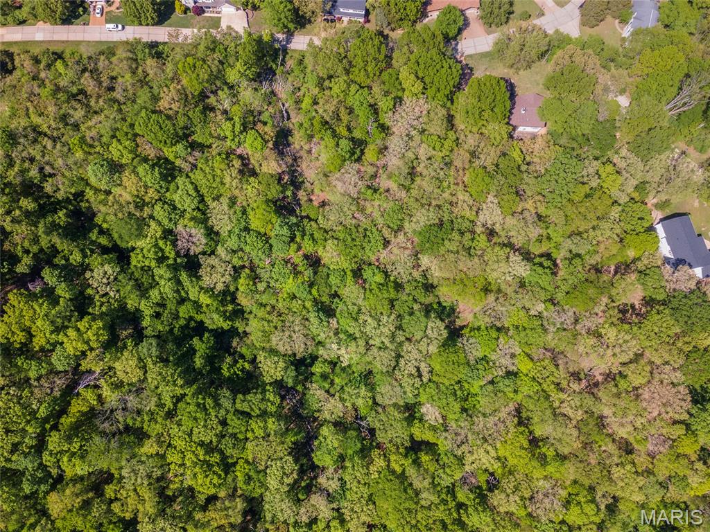 22 Sun Ridge Imperial, MO 63052 - Photo 9 of 15