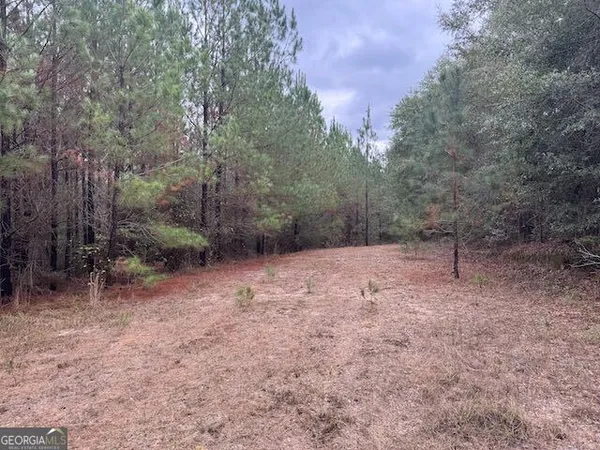 $250,000 | 60.06-ac Daisy Walker Road, Tennille, GA 31089