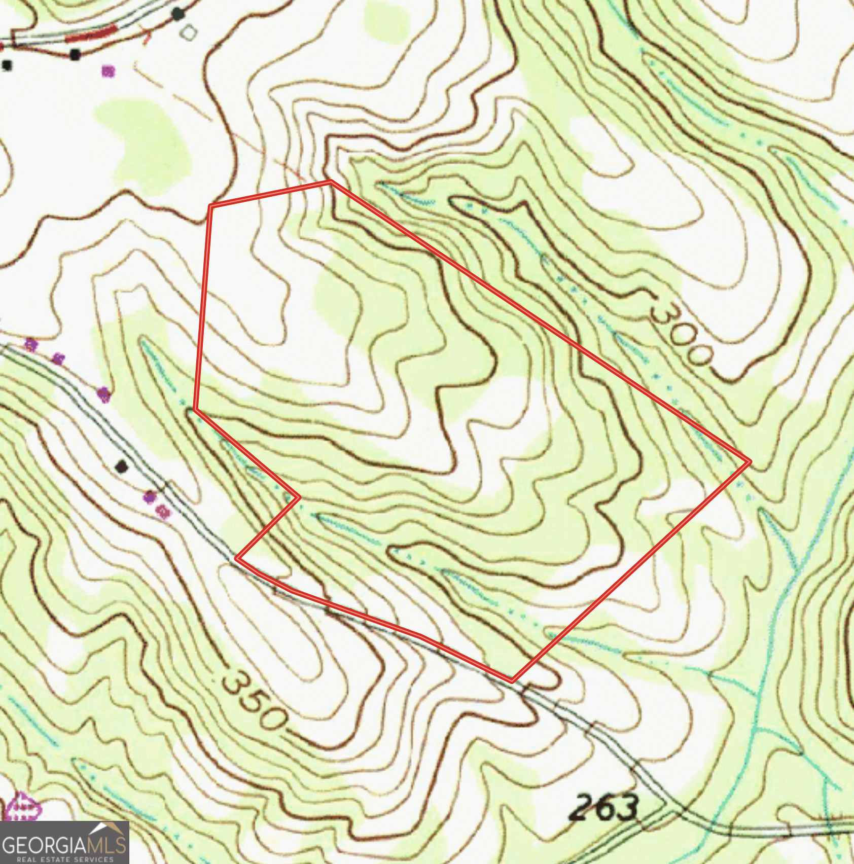 60.06-ac Daisy Walker Road Tennille, GA 31089 - Photo 11 of 22